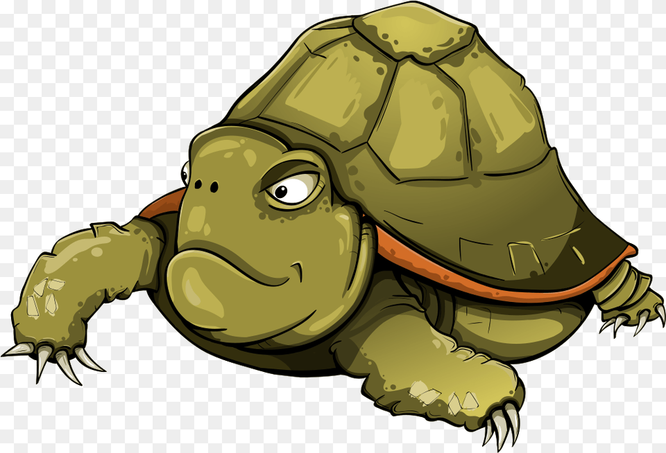 Tortoise Turtle Shell Green Animals Turtle Vector, Animal, Reptile, Sea Life, Baby Free Transparent Png