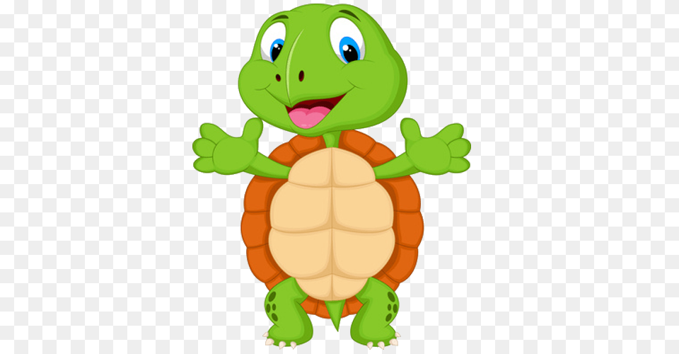 Tortoise Turtles, Animal, Reptile, Sea Life, Turtle Free Transparent Png