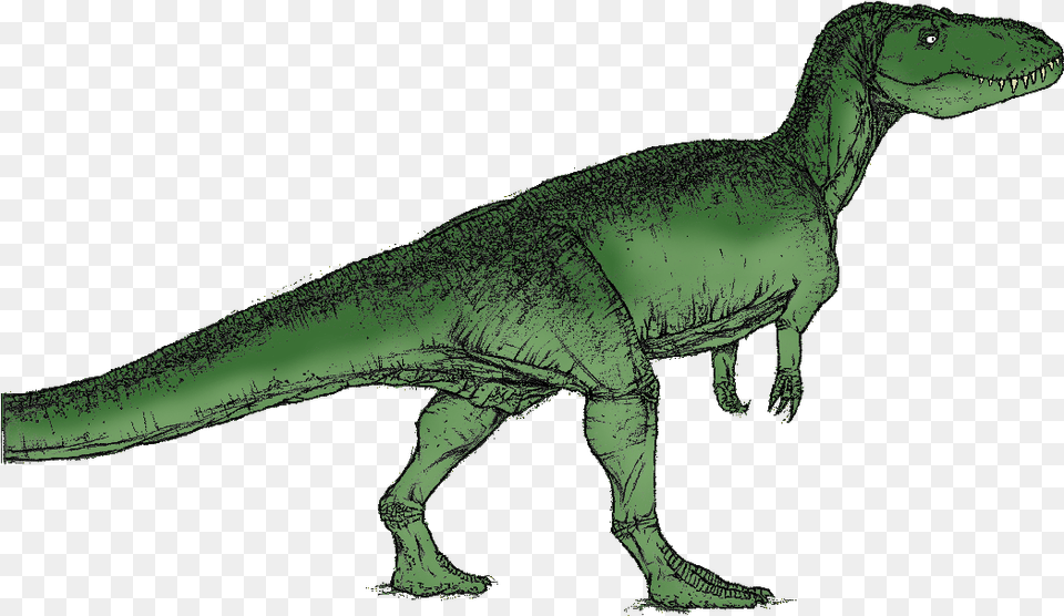 Torvoaurus Dinosaurs Green, Animal, Dinosaur, Reptile, T-rex Free Transparent Png