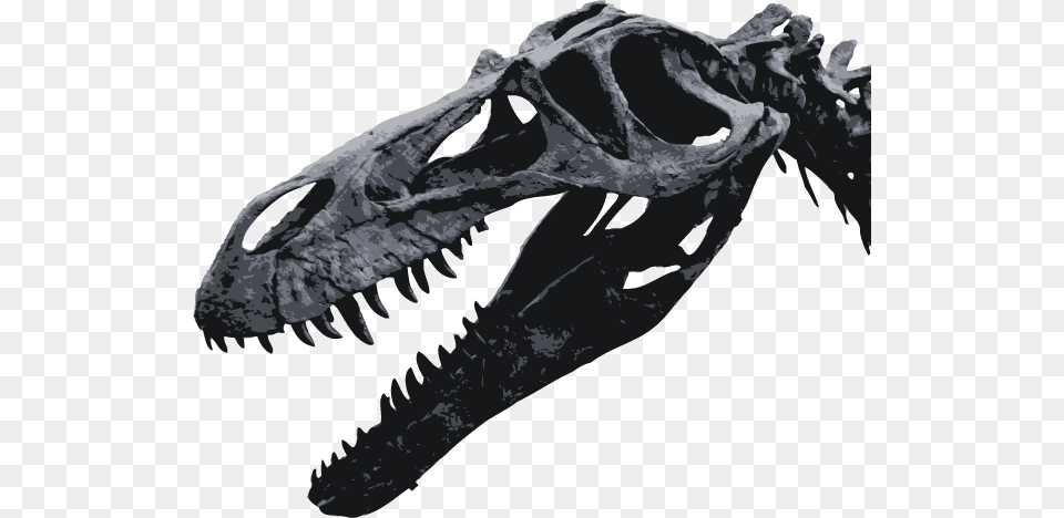 Torvosaurus Skull Head, Animal, Dinosaur, Reptile, T-rex Free Png Download