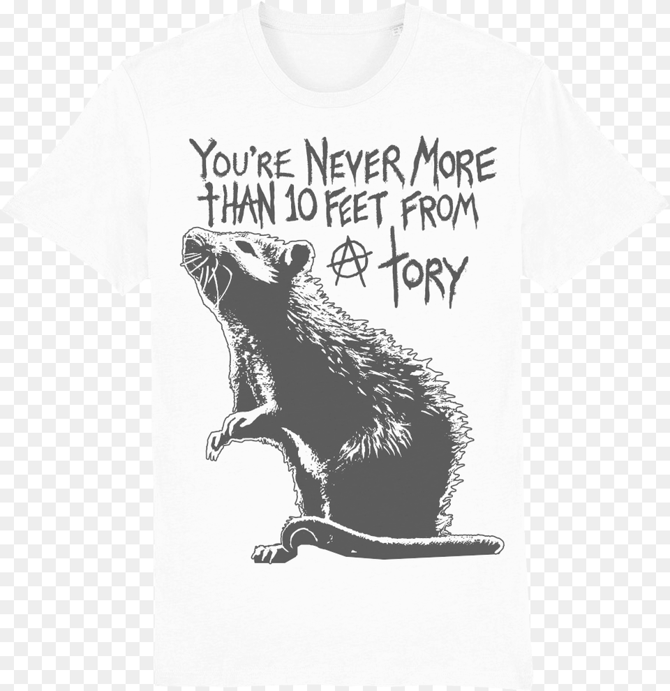 Tory Rat Light Unisex Organic Cotton T Shirt T Shirt With Rat Pictures On Them, Animal, Bear, Clothing, Mammal Free Png