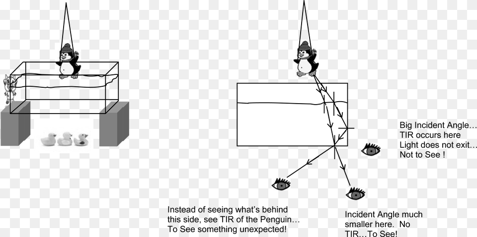 Total Internal Reflection Diagram, Person Png