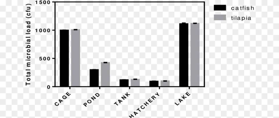 Total Microbial Load On Surfaces Of Tilapia And Catfish Skyline, Cutlery, Fork, Text Free Png Download