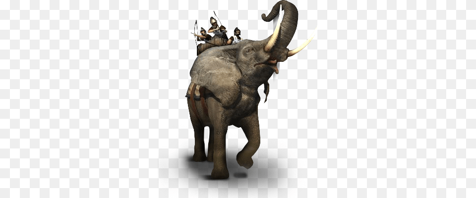 Total War Elephant And Rider, Animal, Mammal, Wildlife, Person Free Png
