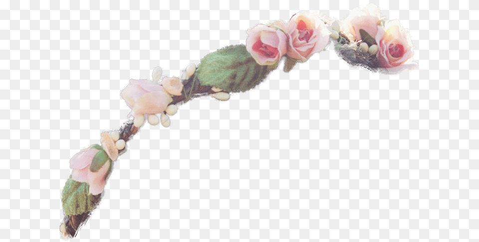 Totally Tumblr Flower Transparent Crowns Simple Flower Crown Transparent, Flower Arrangement, Petal, Plant, Rose Free Png