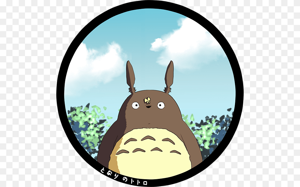 Totoro Round Icon, Photography, Face, Head, Person Png Image