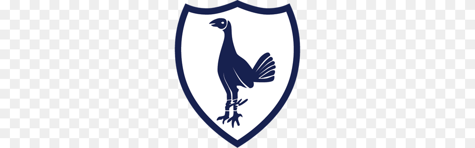 Tottenham Hotspur Logo Vector, Animal, Bird, Penguin, Armor Free Transparent Png