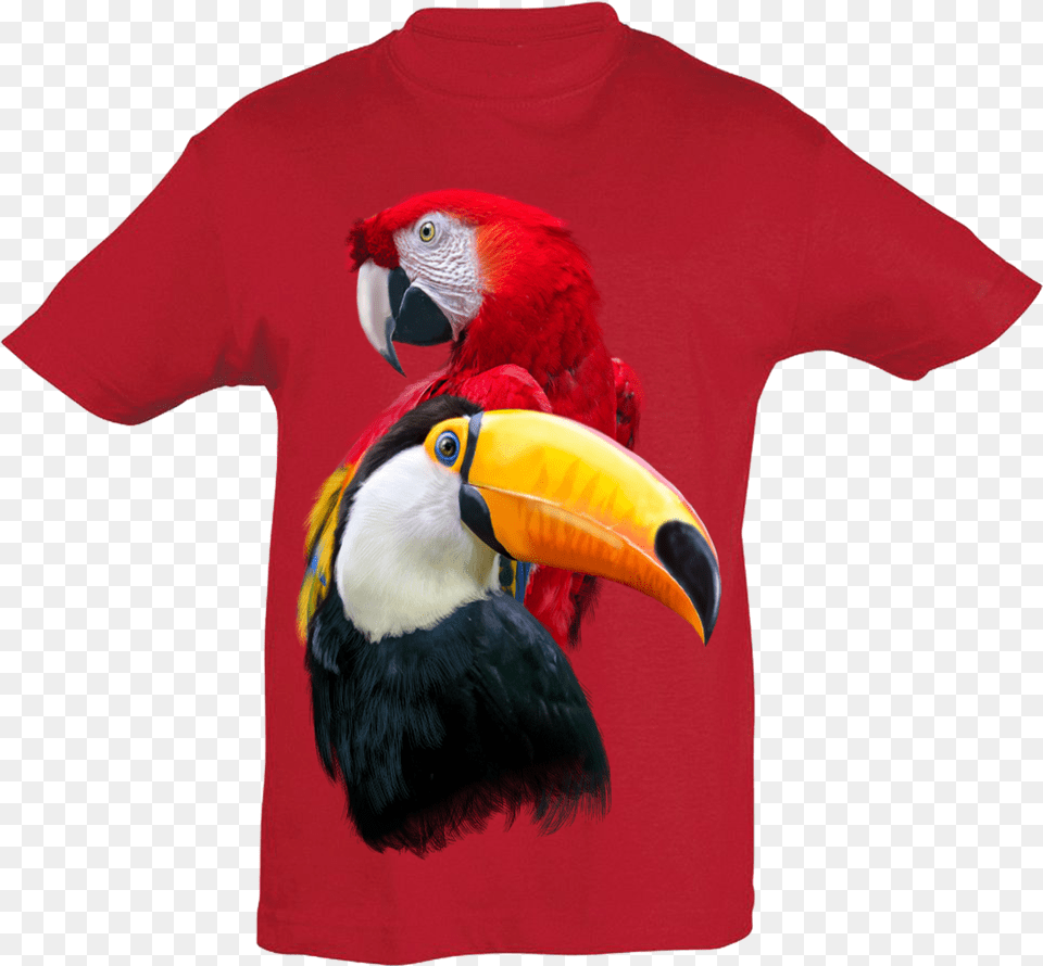 Toucan, Animal, Beak, Bird, Clothing Free Png Download