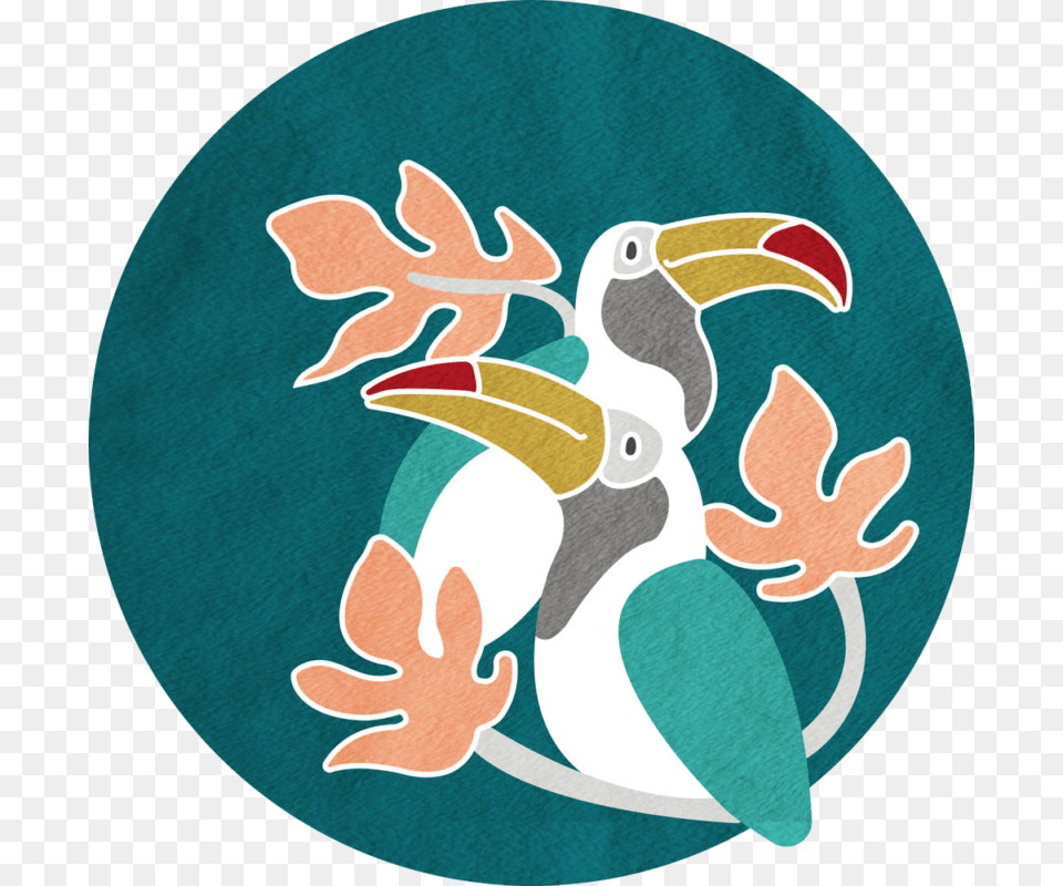 Toucan, Animal, Beak, Bird Png