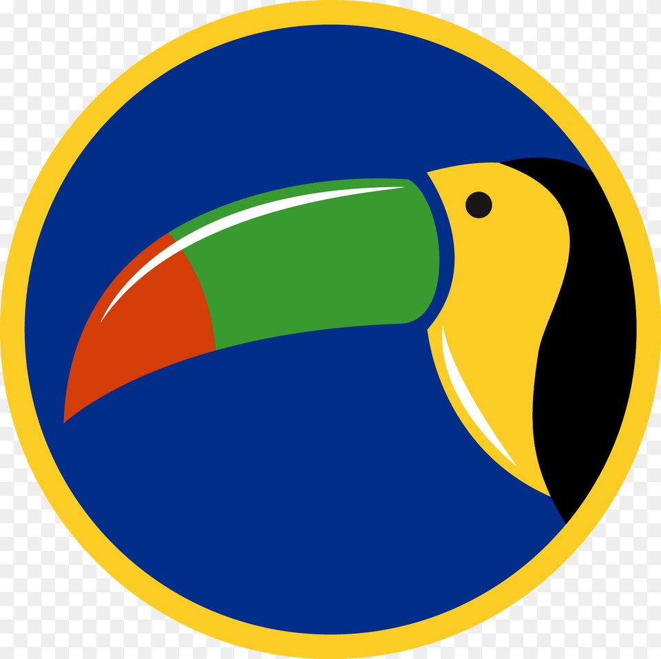 Toucan, Animal, Beak, Bird Png Image