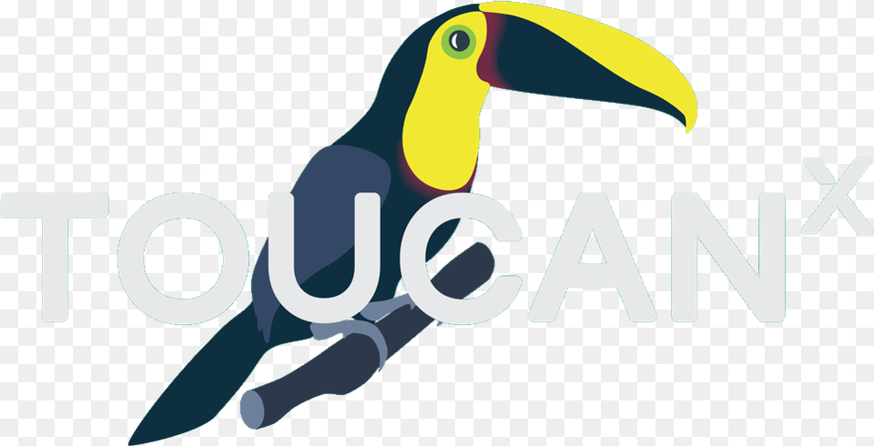 Toucan, Animal, Beak, Bird Png Image