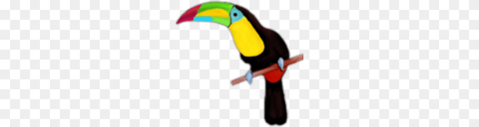 Toucan, Animal, Beak, Bird Png