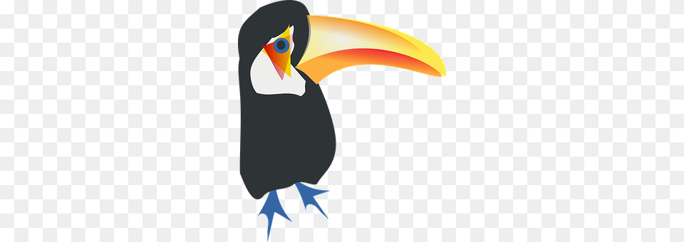 Toucan Animal, Beak, Bird, Person Png Image
