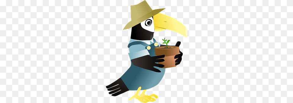 Toucan Garden, Nature, Outdoors, Gardening Free Transparent Png