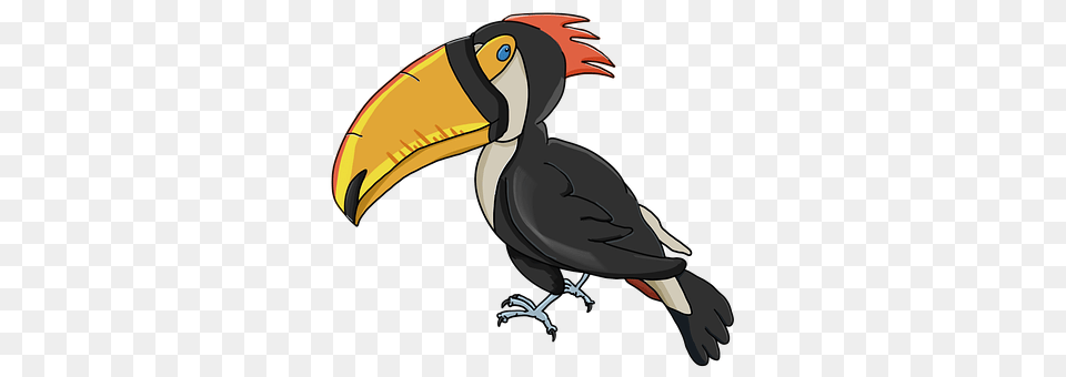 Toucan Animal, Beak, Bird, Person Png