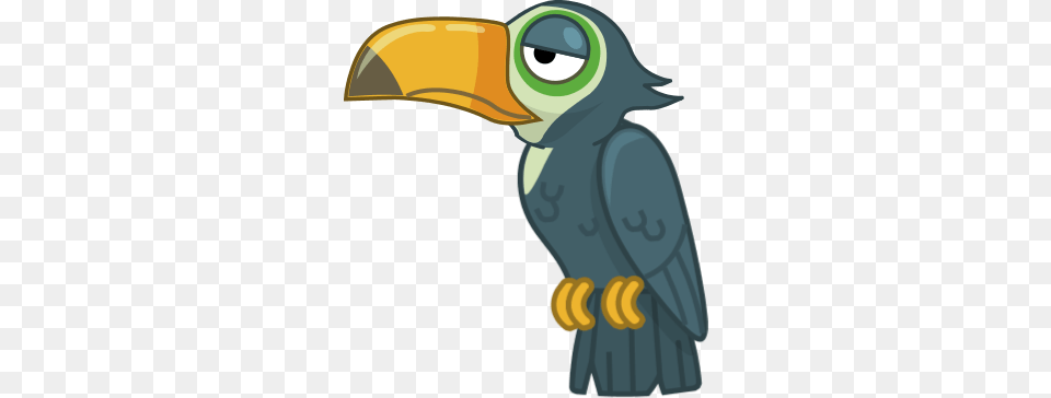 Toucan, Animal, Beak, Bird, Person Png