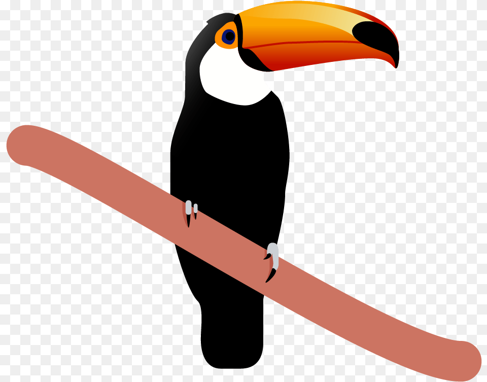 Toucan, Animal, Beak, Bird Free Transparent Png