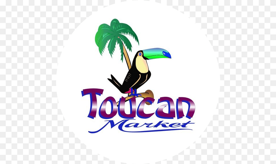 Toucan, Animal, Bird Free Png