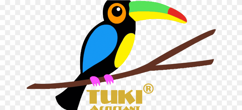 Toucan, Animal, Beak, Bird, Blade Free Transparent Png