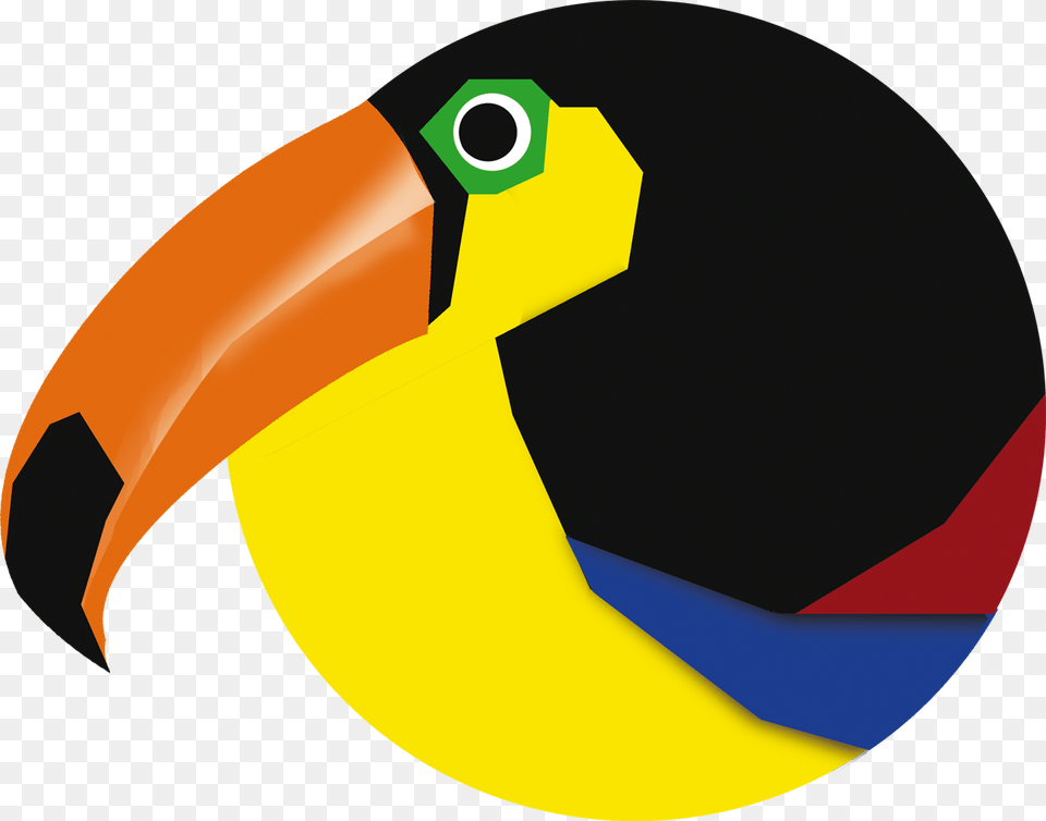 Toucan A Carene Keel Billed Toucan, Animal, Beak, Bird, Person Free Png Download