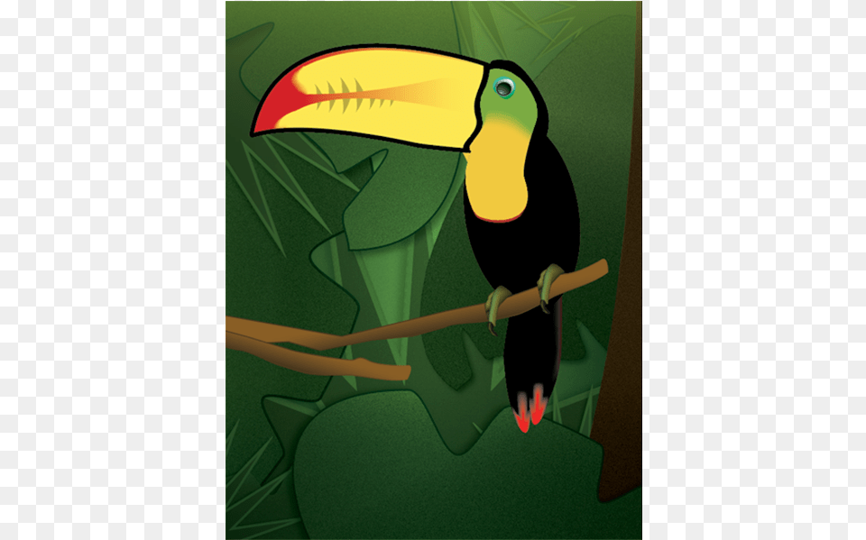 Toucan Amp Gradients Exercise Adobe Illustrator Illustration Toucan, Animal, Beak, Bird Free Png