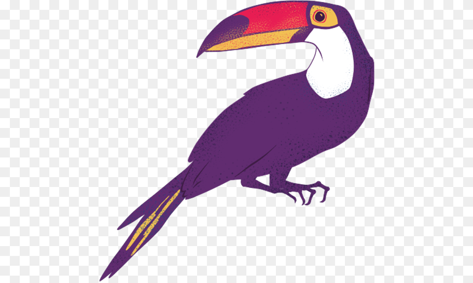 Toucan Animais Amaznia, Animal, Beak, Bird, Aircraft Free Png