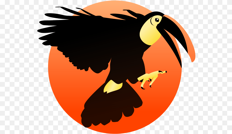 Toucan Beak, Animal, Bird, Adult, Female Free Png