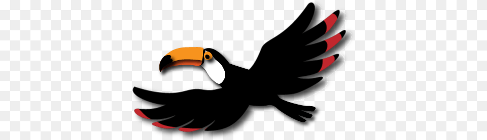 Toucan Bird Animation Some Animation Birds, Animal, Beak Png Image