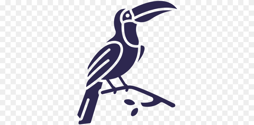 Toucan Bird Black Tucano Em Branco E Preto, Animal, Beak, Person Png Image