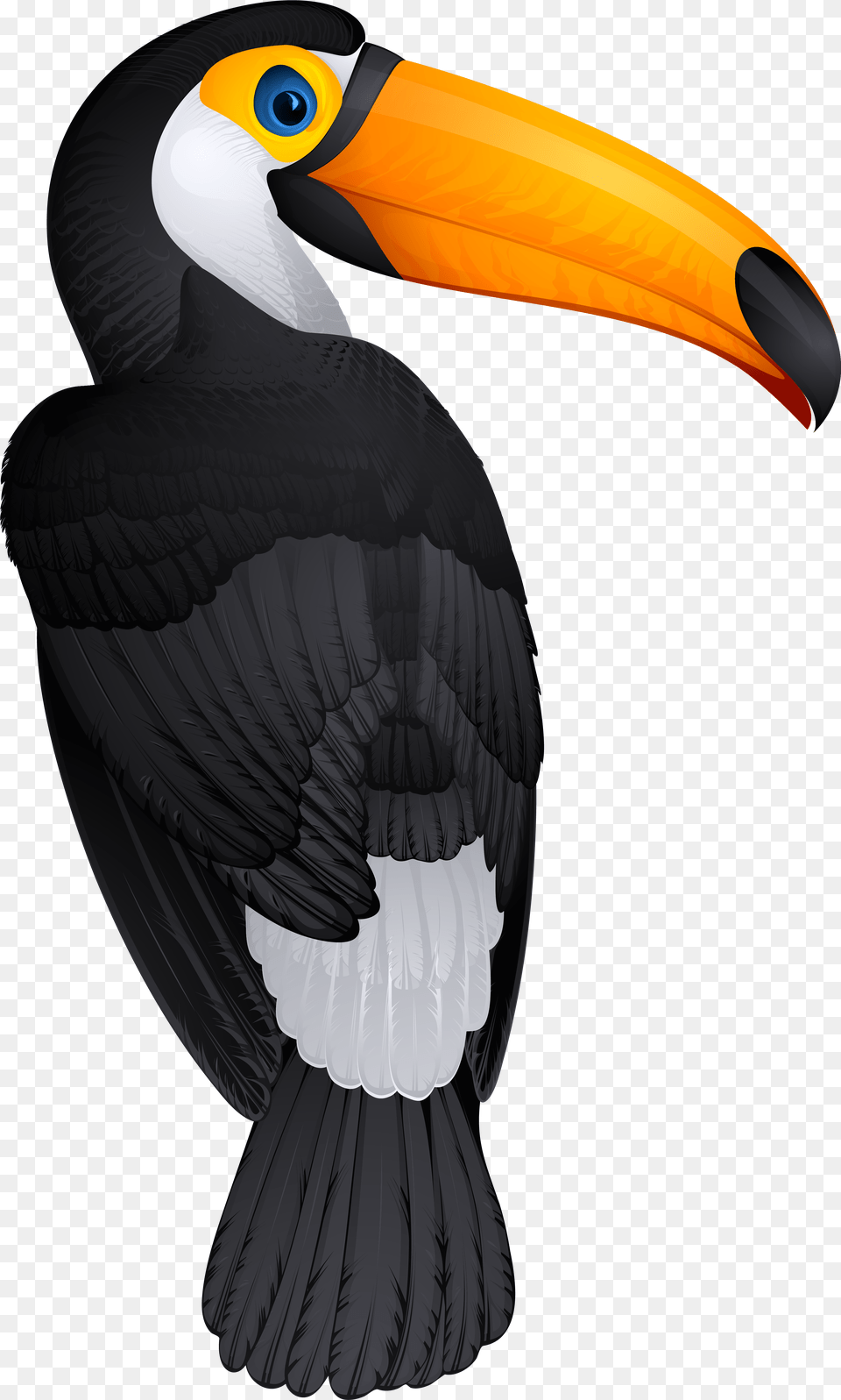Toucan Bird Clipart Picture Toucan, Animal, Beak Png Image