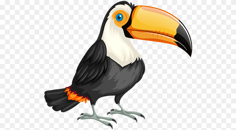 Toucan Bird Nature Wild Wildlife Animal Zoo Bandeira Do Brasil Com Um Tucano, Beak Free Transparent Png