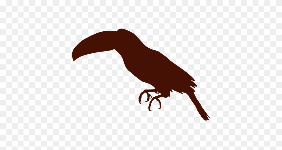 Toucan Bird Silhouette, Animal, Beak Png