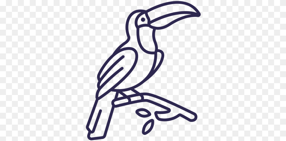 Toucan Bird Stroke Long, Light Png Image