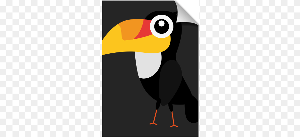 Toucan Bird Toucan, Animal, Beak, Adult, Female Free Png Download