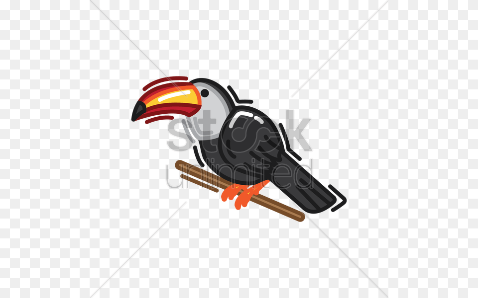 Toucan Bird Vector Animal, Beak Png Image