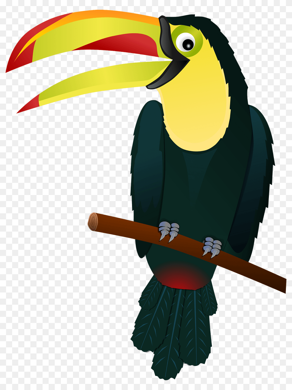 Toucan By Gnokii Clipart, Animal, Beak, Bird Png