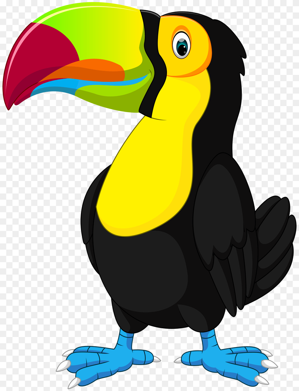 Toucan Cartoon Clip Art, Animal, Beak, Bird Free Png Download