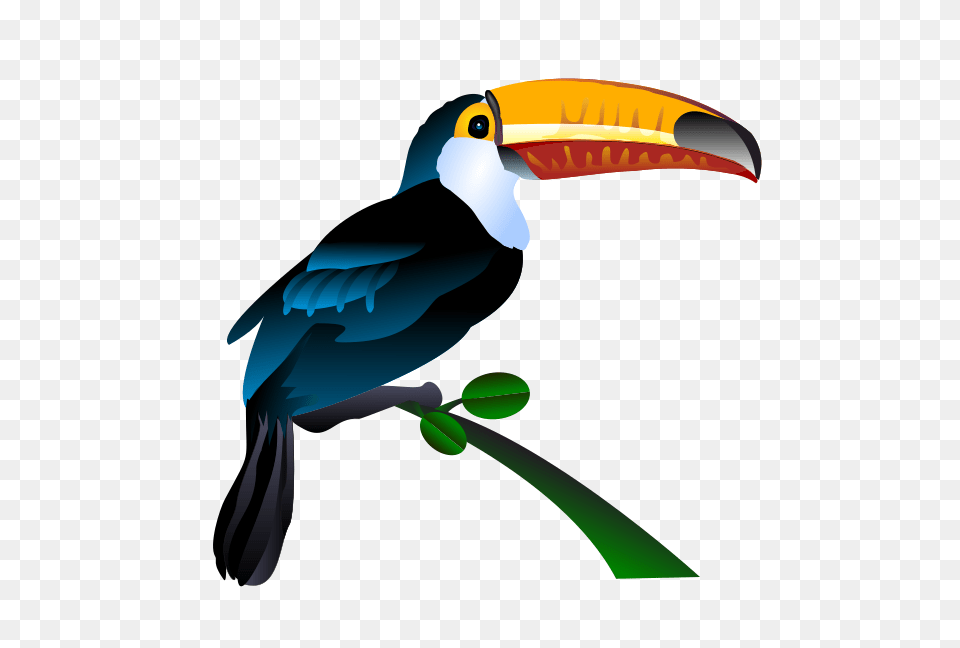 Toucan Clip Art Look, Animal, Beak, Bird, Person Free Png
