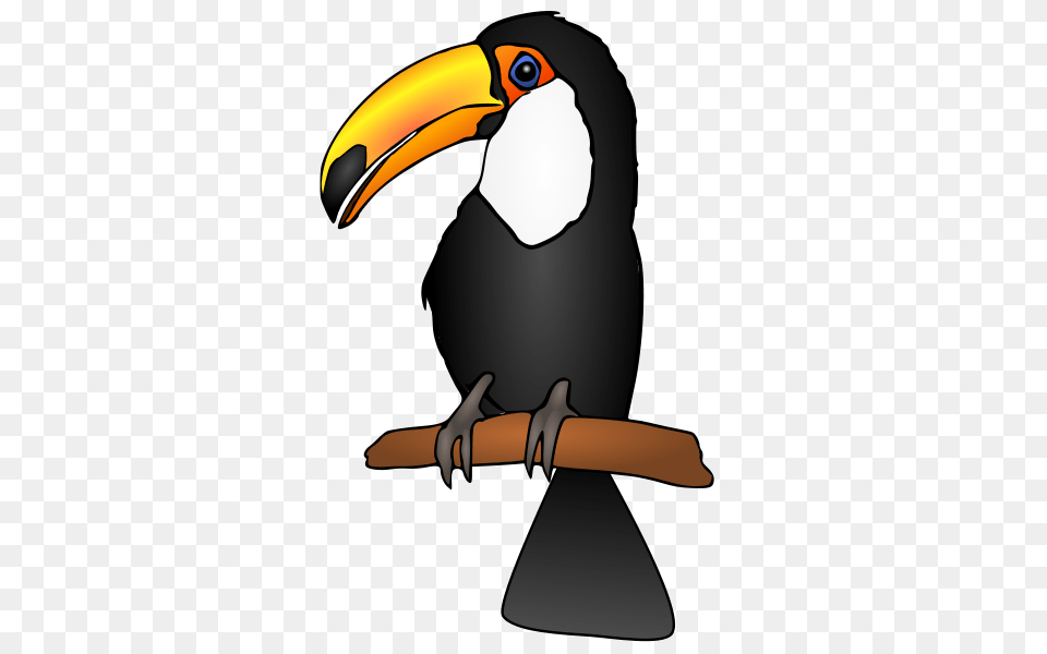 Toucan Clip Arts For Web, Animal, Beak, Bird, Penguin Free Transparent Png