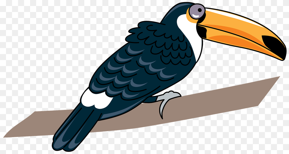 Toucan Clipart, Animal, Beak, Bird, Fish Png Image