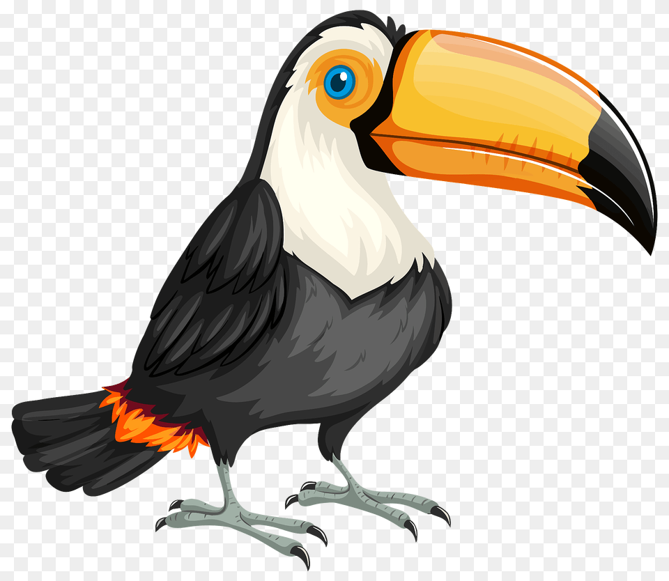 Toucan Clipart, Animal, Beak, Bird Png