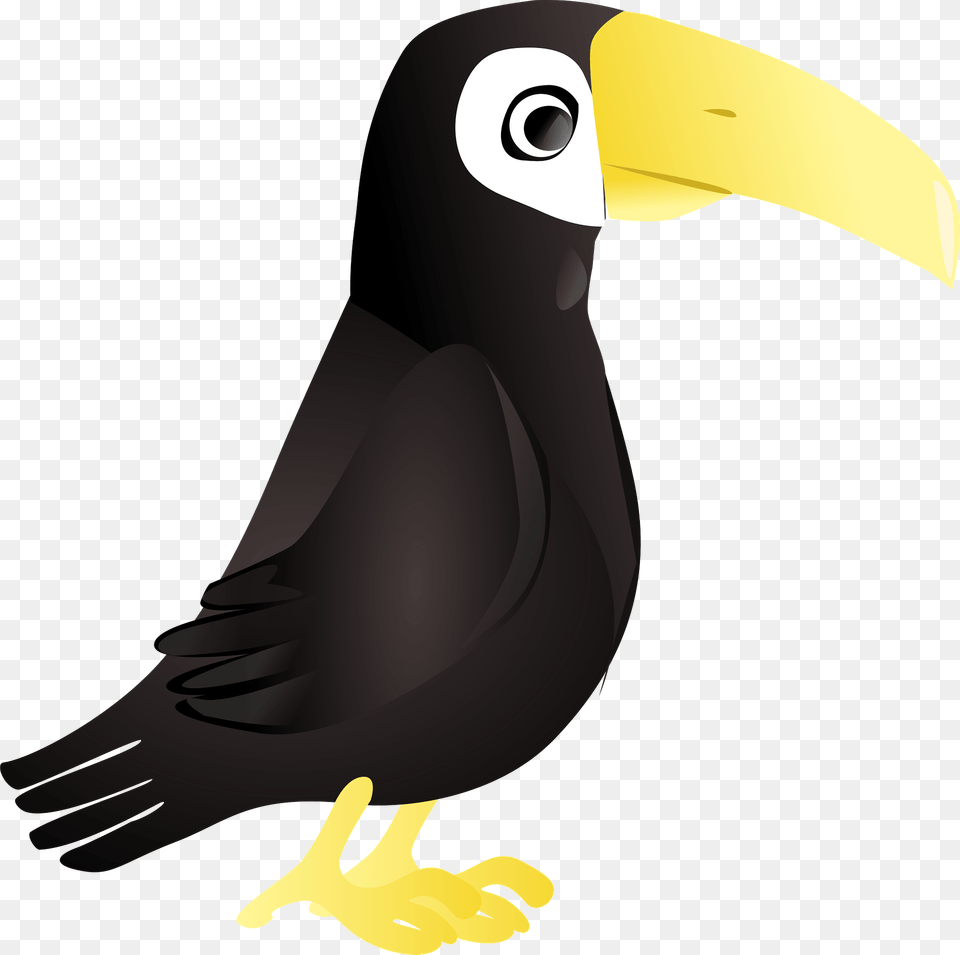 Toucan Clipart, Animal, Beak, Bird, Fish Free Png Download
