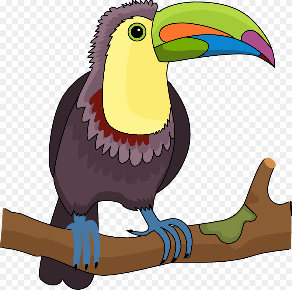 Toucan Clipart, Animal, Beak, Bird Png Image