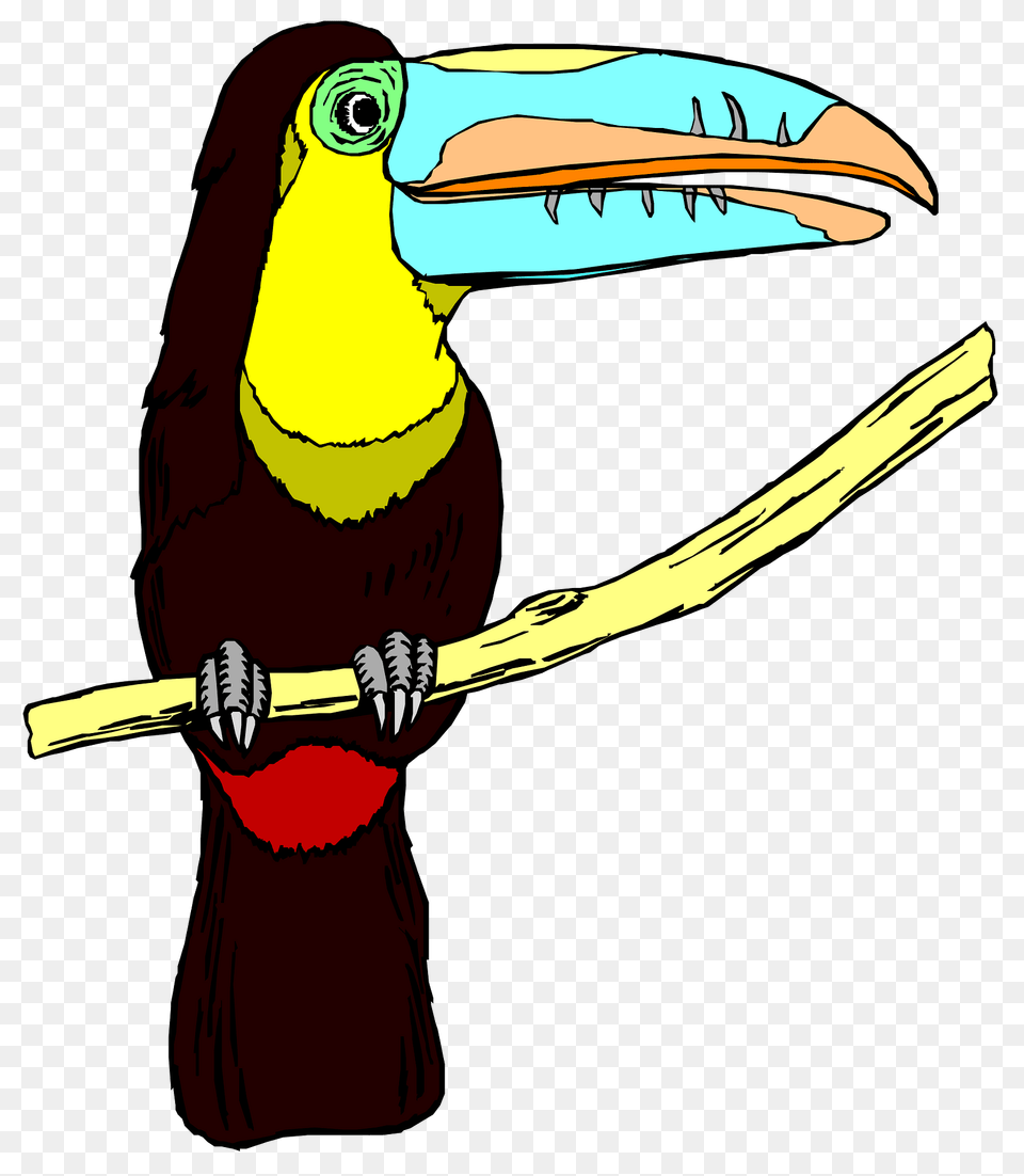 Toucan Clipart, Animal, Beak, Bird Png Image