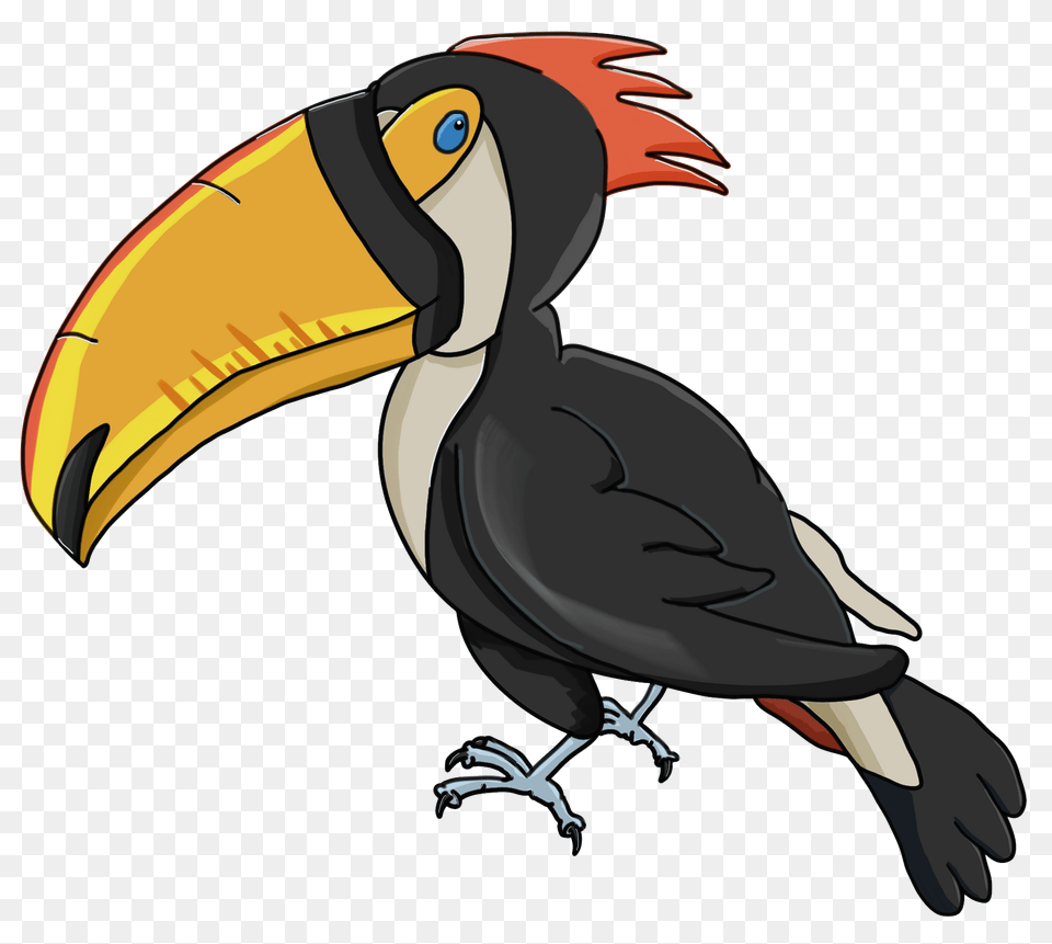 Toucan Clipart, Animal, Beak, Bird Png