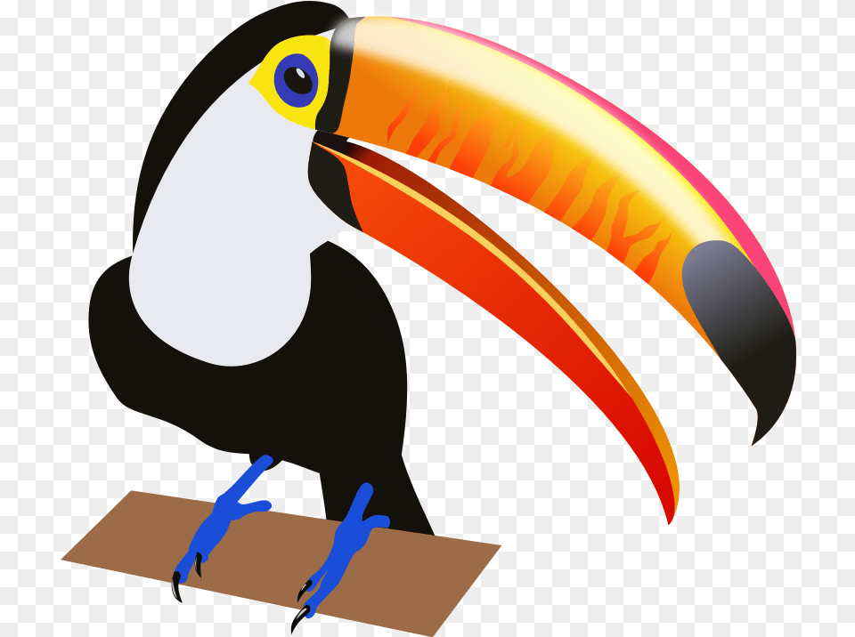 Toucan Clipart Clipart Toucan, Animal, Beak, Bird, Fish Png