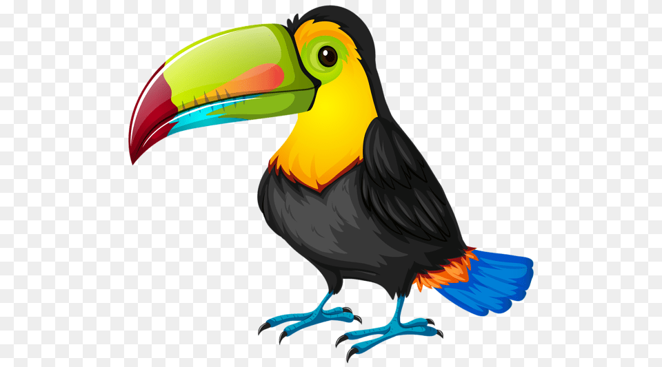 Toucan Clipart Cute Baby, Animal, Beak, Bird Free Transparent Png