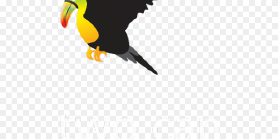 Toucan Clipart Flying Toucan, Animal, Beak, Bird, Qr Code Free Png