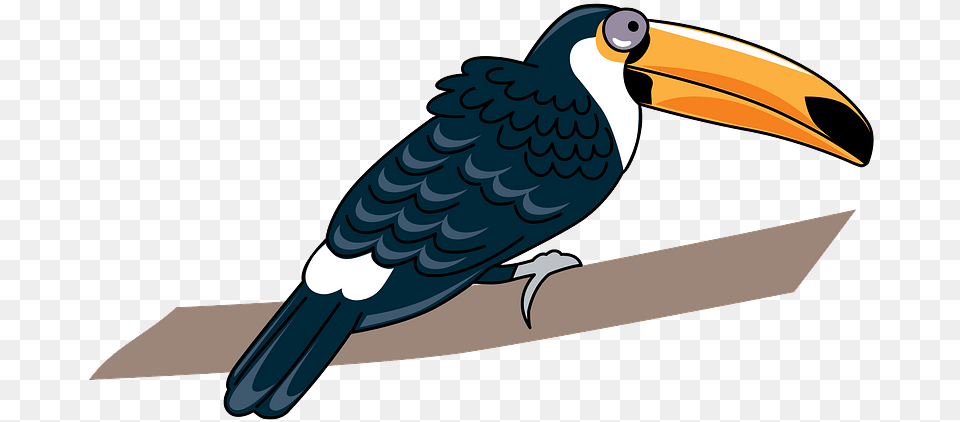 Toucan Clipart Long, Animal, Beak, Bird, Aircraft Free Png