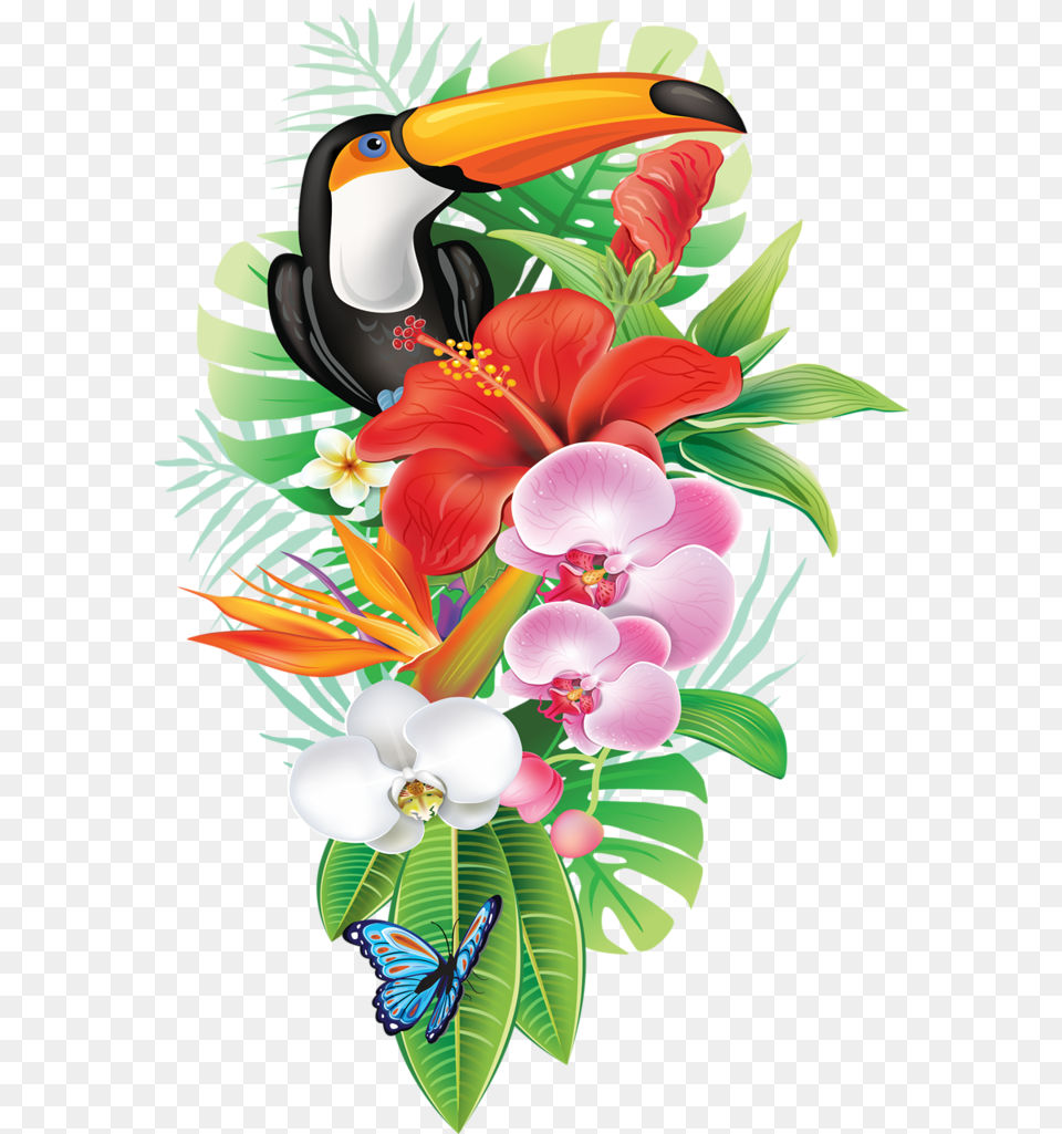 Toucan Clipart Rainforest Brazilian Tropical Flower Vector, Plant, Art, Graphics, Flower Arrangement Png Image